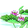 Ψˮī