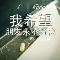 感伤人生的头像