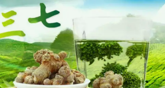 史上第一位记载三七的人是谁