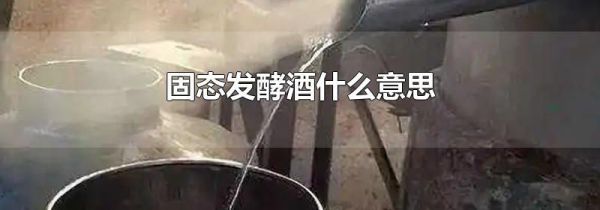 固态发酵酒什么意思